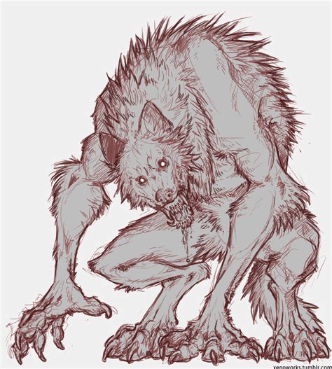 werewolf art|werewolf art of anatomy.